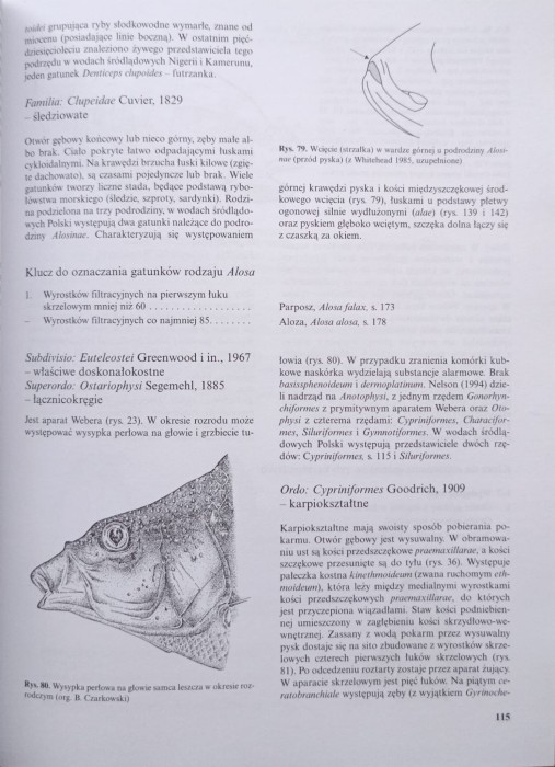 1736863807076.jpg