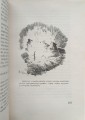 1737632138188.jpg