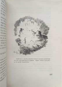 1737632138188.jpg