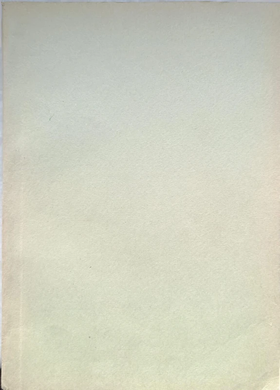 1737811811495.jpg
