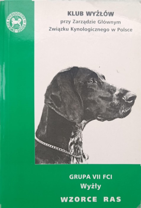 1740057743550.jpg