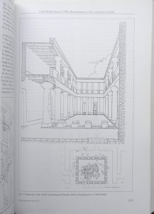 1740057743544.jpg