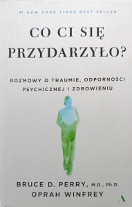 Bruce Perry, Co ci się przydarzyło?