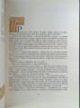 1740489041704.jpg