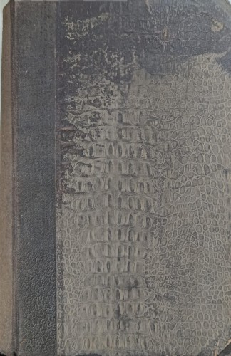 1740489041681.jpg