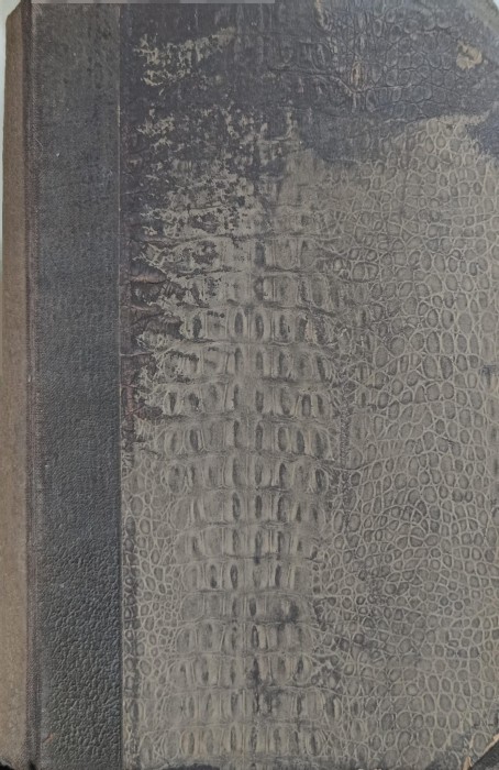 1740489041681.jpg