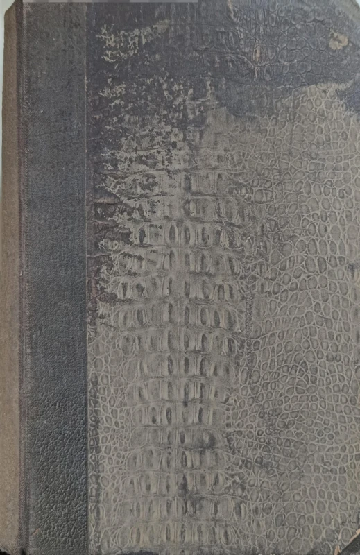1740489041681.jpg