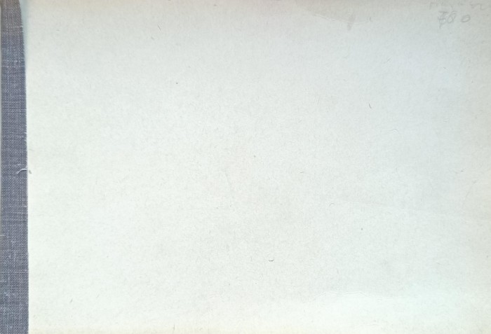 1741445201377.jpg