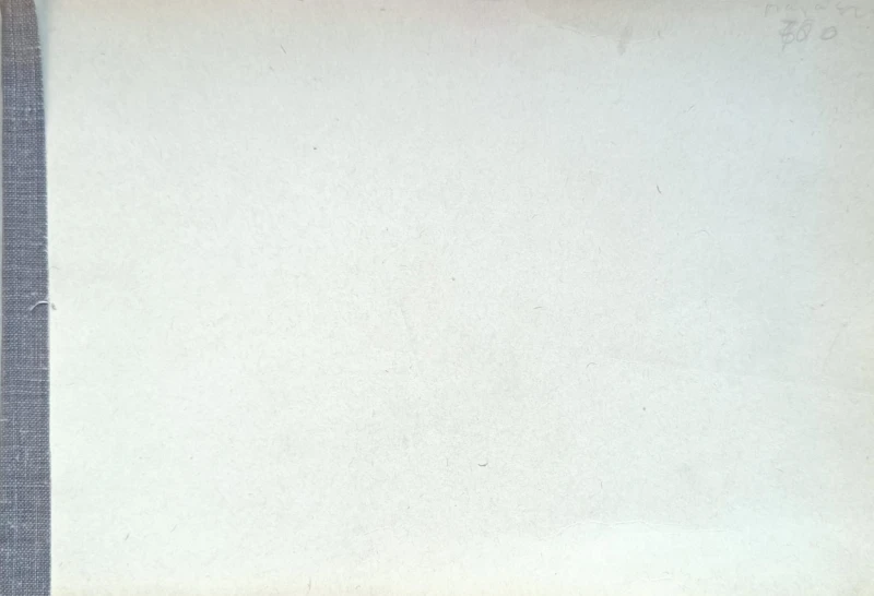 1741445201377.jpg