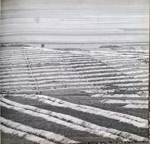 CamScanner 14.03.2025 14.14_15.jpg