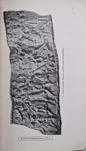 CamScanner 24.03.2025 13.48_11.jpg