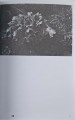 CamScanner 16.04.2025 13.48_25.jpg