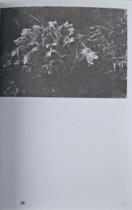 CamScanner 16.04.2025 13.48_25.jpg