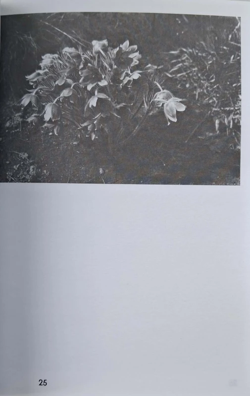 CamScanner 16.04.2025 13.48_25.jpg