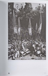 CamScanner 16.04.2025 13.48_26.jpg