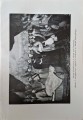 CamScanner 23.04.2025 17.20_4.jpg