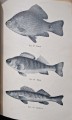 CamScanner 24.04.2025 12.36_6.jpg