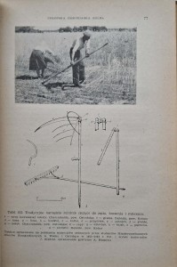 CamScanner 29.05.2025 11.50_11.jpg