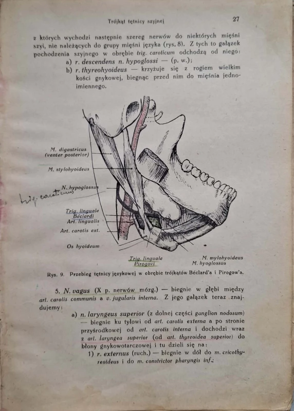 CamScanner 29.05.2025 11.50_19.jpg