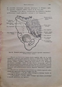 CamScanner 29.05.2025 11.50_20.jpg