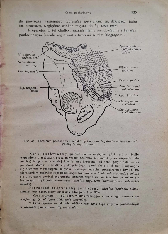 CamScanner 29.05.2025 11.50_20.jpg