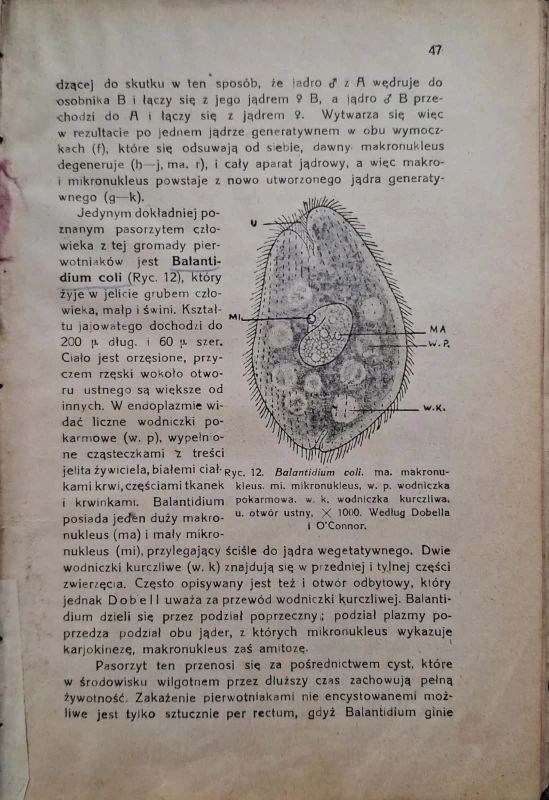 CamScanner 29.05.2025 11.50_15.jpg