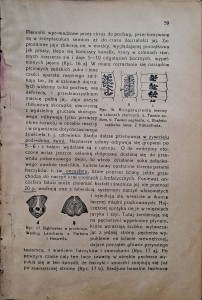 CamScanner 29.05.2025 11.50_16.jpg