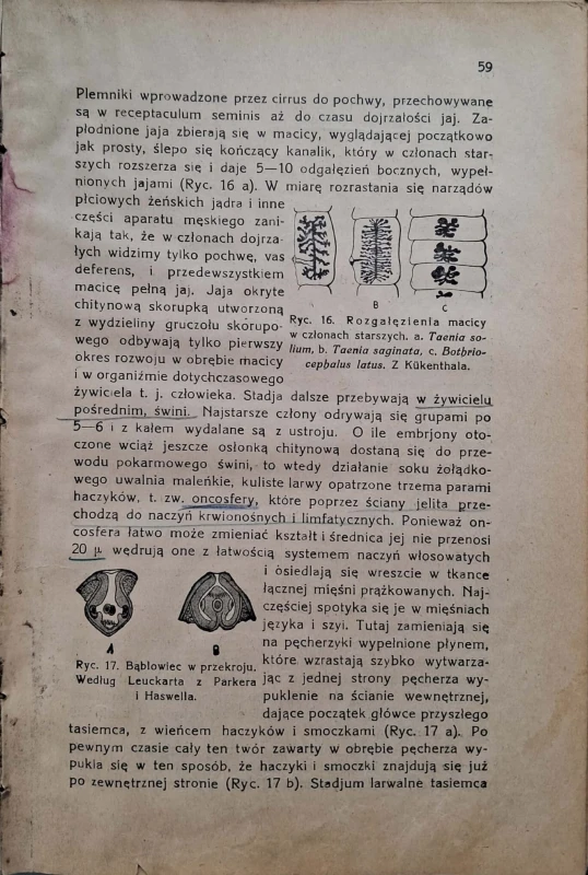 CamScanner 29.05.2025 11.50_16.jpg