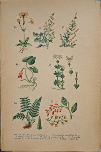 CamScanner 23.07.2025 15.21_9.jpg