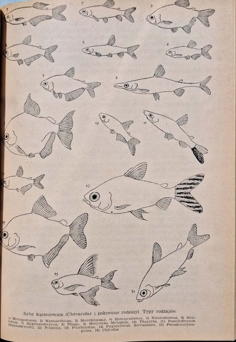 CamScanner 25.07.2025 12.02_11.jpg