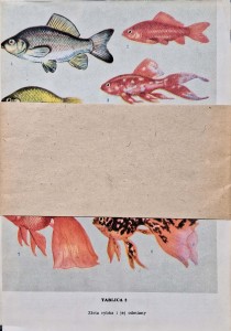 CamScanner 25.07.2025 12.02_12.jpg