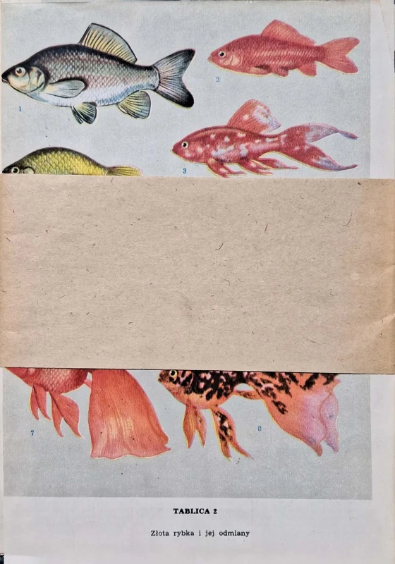 CamScanner 25.07.2025 12.02_12.jpg