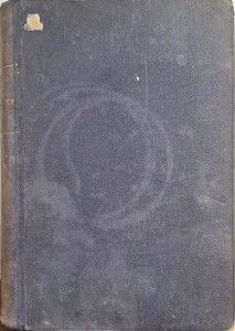 Kallas, Zapolska Powieść biograficzna