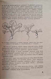 CamScanner 01.10.2025 13.26_33.jpg