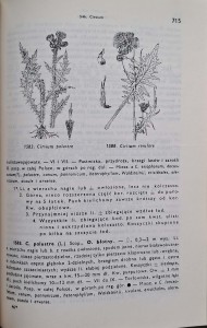 CamScanner 01.10.2025 13.26_42.jpg