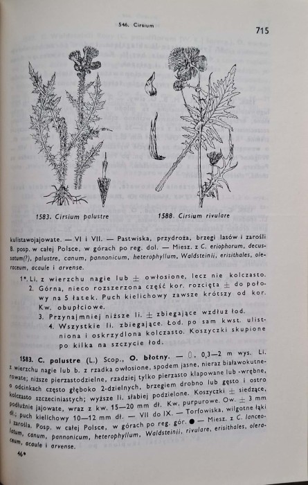 CamScanner 01.10.2025 13.26_42.jpg