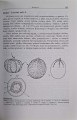 CamScanner 01.10.2025 13.26_36.jpg