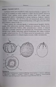 CamScanner 01.10.2025 13.26_36.jpg