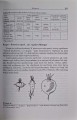 CamScanner 01.10.2025 13.26_37.jpg