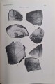 CamScanner 01.10.2025 13.26_63.jpg
