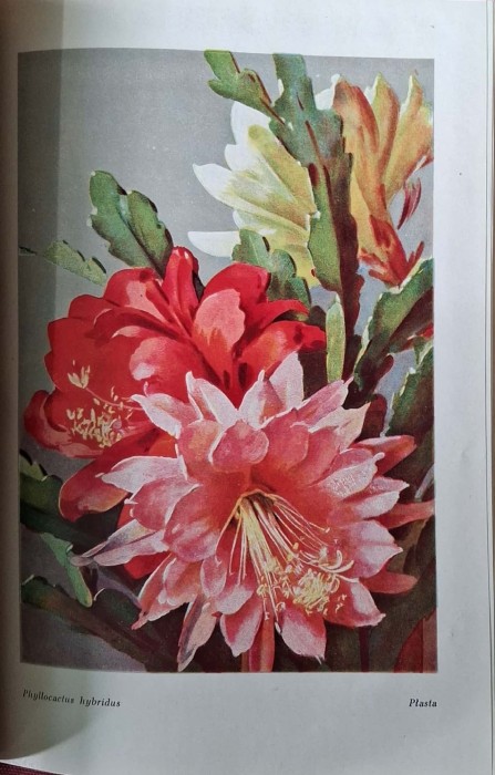 CamScanner 08.10.2025 12.30_10.jpg