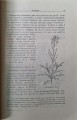 CamScanner 08.10.2025 12.30_11.jpg