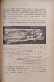 CamScanner 27.10.2025 11.37_31.jpg