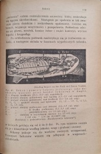 CamScanner 27.10.2025 11.37_31.jpg