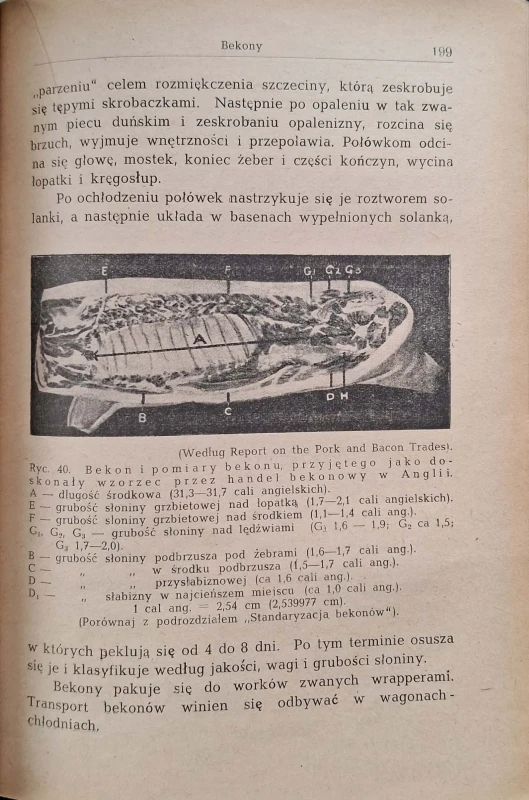 CamScanner 27.10.2025 11.37_31.jpg