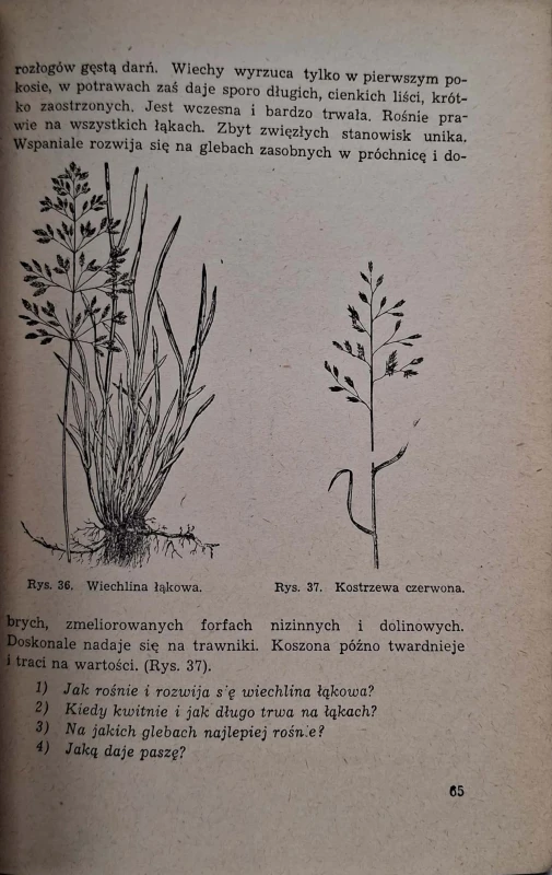 CamScanner 27.10.2025 13.27_3.jpg