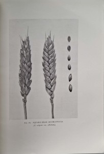 CamScanner 27.10.2025 13.27_6.jpg