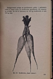 CamScanner 27.10.2025 13.27_17.jpg