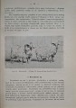 CamScanner 28.10.2025 11.28_13.jpg