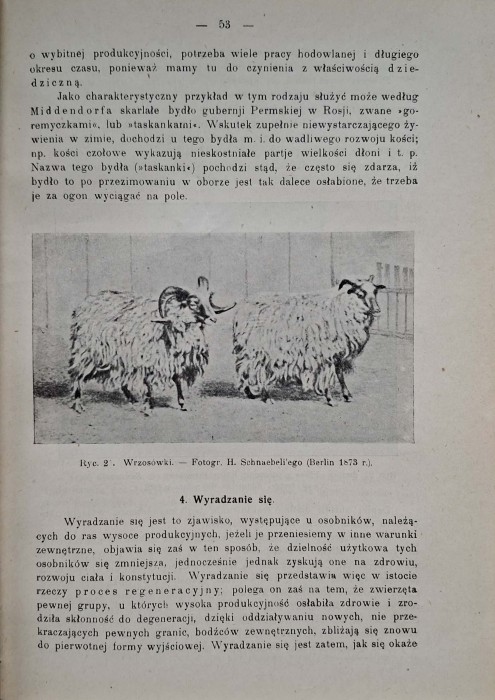 CamScanner 28.10.2025 11.28_13.jpg
